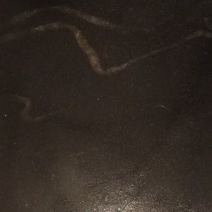 Meet your Posher, Jay